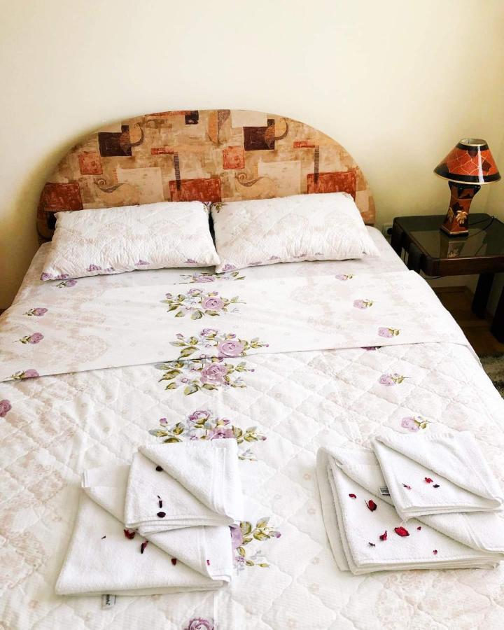 Apartman Djina Vrnjačka Banja エクステリア 写真