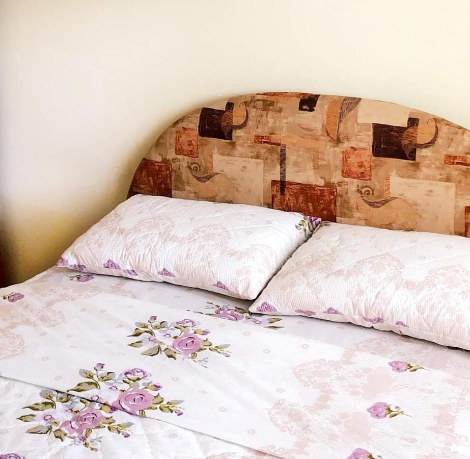 Apartman Djina Vrnjačka Banja エクステリア 写真
